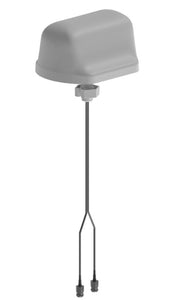 DASLTE500NFMIMO: Antenna, In-Building DAS, MIMO WiFi or LTE, 698-5900 MHz, with dual 500mm pigtails & N-Female Connectors., Low PIM rated -155dBC, ceiling mount.